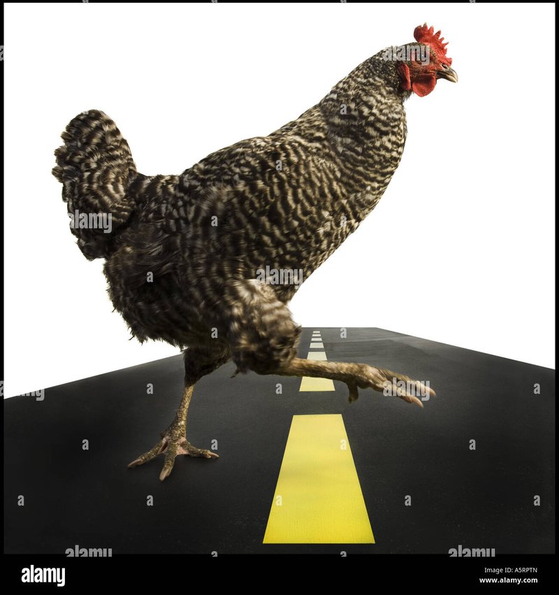 Introduction to chicken road online